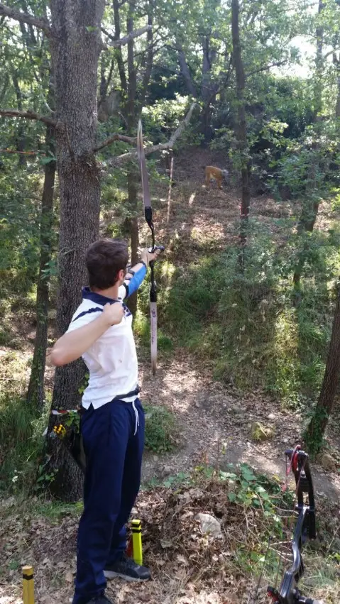 Un arciere in tensione nel bosco, durante una gara 3D